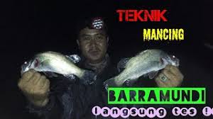 Insya allah saya upload video :✓ senin, rabu dan jum'at ✓ jam 16:00 gmt+7 wib. Teknik Mancing Barramundi Kakap Putih Di Laut Spot Bangan Pinggir Mandor Limin Tanjung Pasir Youtube