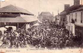 Challans Le Marche Aux Volailles Carte Postale Postale Vendee