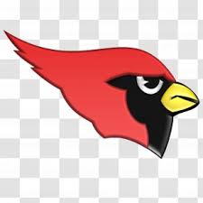 Harlingen High School South Brownsville St Louis Cardinals San Benito Cartoon Sport Transparent Png Use these free cartoon cardinal png #87700 for your personal projects or designs. harlingen high school south brownsville