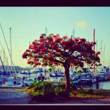 Noumea Caledonie Nouvelle Caledonie Paysage