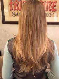 Formula How To Honey Wheat Blonde Honey Hair Color Honey Blonde Hair Dark Blonde Hair