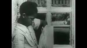  Estelle Evans Female Com Au