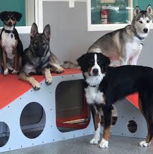 At mount vernon healthcare center, we believe in making the most of the time you or your loved one spends with us. Animal Care Center Home Facebook