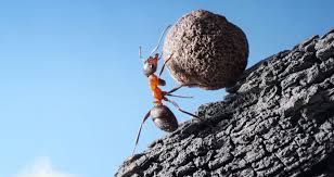 Image result for hard work