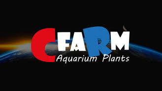 Peces | CfaRm Mayoristas