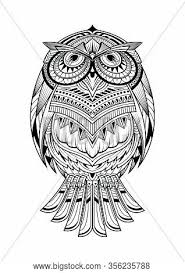 Check out our adult coloring pages selection for the very best in unique or custom, handmade pieces from our coloring books shops. Decorative Owl Adult Vector Photo Free Trial Bigstock