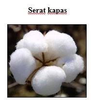 Maybe you would like to learn more about one of these? Sebutkan 5 Serat Tumbuhan Beserta Manfaat Dan Cara Kerjanya Brainly Co Id