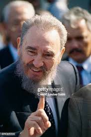 42 Louise Castro Stock Photos, High-Res Pictures, and Images