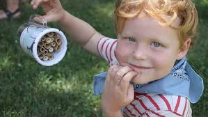 Class makes bee homes at Bledsoe Creek State Park