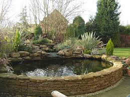 We did not find results for: Raised Pond Gallery Small Fish Ponds Garden Ponds Koi Pond
