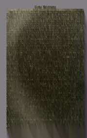 Image result for Peddiea rapaneoides