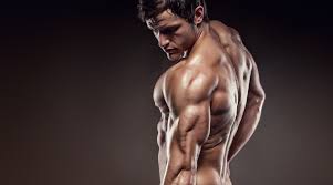 triceps arka kol kasi hareketleri gymturk com