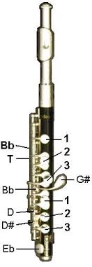 Fingering Scheme For Flute And Piccolo The Woodwind