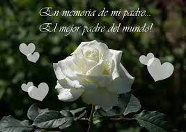 Imagenes De Duelo Con Rosas Blancas Descanse En Paz Frases Imagenes Dia Del Padre Frases De Amor Puro