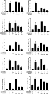 Image result for Morinda asteroscepa