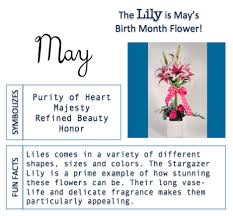 Birth Month Flower Birth Month Flowers Month Flowers May Birth Flowers
