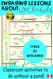 Students Learn About The Qualities That Define A Wetland Ecosystem And The Various Types That Can Be Fou Engaging Lesson Plans Engaging Lessons Science Lessons