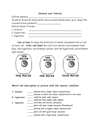 Check spelling or type a new query. Osmosis And Tonicity Worksheet