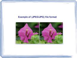 Just paste your jpg file in the input area and you will instantly get a jpg with transparency in the in this example, we remove the turquoise color background from a jpg image of a man holding an. Chapter 4 Multimedia Development 4 2 Multimedia Elements Image Graphic Picture Ppt Download