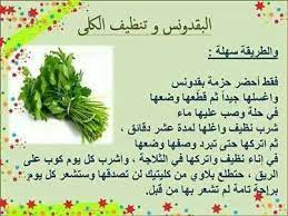 البقدونس وتنظيف الكلى health fitness nutrition health and nutrition health advice