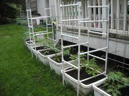 Cucumbers grow better and stay healthier when grown vertically. Garden Trellis Screening Garden Fence Panels Gates Cucumber Trellis Diy Pvc