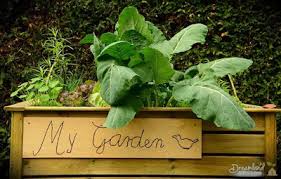We did not find results for: We Are Loving Vegetable Gardening Let S Start Planting Your First Garden