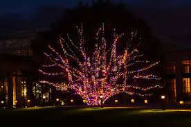 Longwood Gardens Christmas 16 By Tjc Photographic Via Flickr Holiday Lights Outdoor Longwood Gardens Christmas Outdoor Christmas