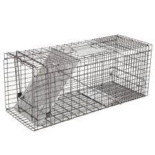 The colony occupies a specific territory where food (e.g., a restaurant dumpster, a person who feeds them) and animal shelters may attempt to humanely trap and remove outdoor cats in response to calls of complaint or concern from the public. Zeny 32 Humane Live Animal Trap Cage 1 Door Rodent Steel Catch And Release For Raccoons Cats Groundhogs Opossums Stray Cat Squirrel Mole Gopher Skunk Walmart Com Walmart Com