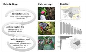 Image result for Usteria guineensis