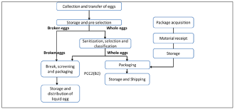 flow chart of egg production system download scientific