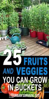 25 Fruits And Veggies You Can Grow In Buckets Container Gardening Vegetables Bucket Gardening Container Gardening