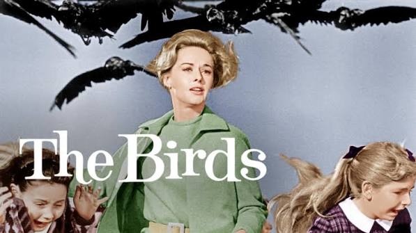 The Birds (1963) | MUBI