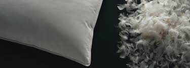 Telah terjual lebih dari 864. 0813 6670 8342 Jual Bantal Bulu Angsa Bantal Sofa Kwalitas Oke Photos Facebook