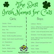 Irish is the first official language of the republic of ireland, irish is a celtic language these baby name lists are organised alphabetically. Irish Boy Names That Start With C Traditional Jbqhd