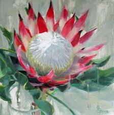 Protea Oil Painting 30x 30cm Protea Art Floral Painting Flower Painting