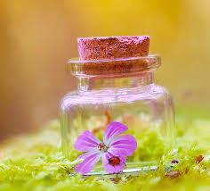 Bottle Gif And Glass Bild Flowers In Jars Bottle Jar