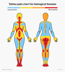 On the scale of pain that might be true, but both are missing the ingredient of continuous pain. Tattoo Pain Chart The Most Painful Spots To Get Tattooed