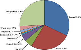 Image result for Blepharis swaziensis