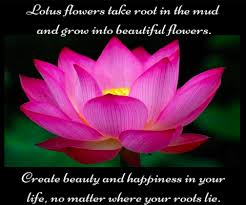 Lotus flowers are one of the most prominent tokens in eastern cultures. The Powerful And Beautiful Meaning Of The Lotus Flower Red Rain Buddha