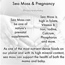 Leslie Cuffee -Professional Birth Doula Services‎