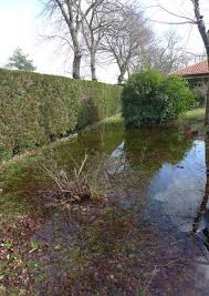 Je pourrai ou je pourrais conjugaison. Je Pourrai Bientot Naviguer Dans Le Jardin En Canoe Une Bonne Nouvelle Par Jour Le Blog D Ecureuil Bleu