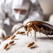 General fumigation