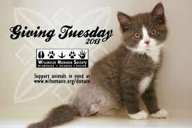 Now That Black Friday And Cyber Monday Are Over It S Time To Feel Good About Givingtuesday A Special Movement Started In 2012 Humane Society Animals Society