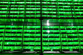 3.9 out of 5 stars 34. Das Halvening Ist Fur Die Kleinen Bitcoins Ein Heikles Manover Nzz