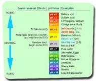 Image result for course hero which of the following ph values is most acidic?