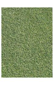 Image result for Agrostis products