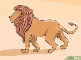 Hewan ini tergolong karnivora berbahaya, namun jika dijadikan gambar singa kartun akan. 4 Cara Untuk Menggambar Singa Wikihow