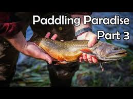 7,214 likes · 13 talking about this. Paddling Paradise Pt 3 Bwca 2020 Bwca