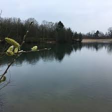Check spelling or type a new query. Wonderful Lake Quiet In The Week Bar Open In Summer Unofficial Fkk Beach Bild Von Badesee Westrittrum Grossenkneten Tripadvisor