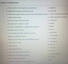 Diagram of a plant cell. S Question Completion Status Makes A Plant Cell More Chegg Com